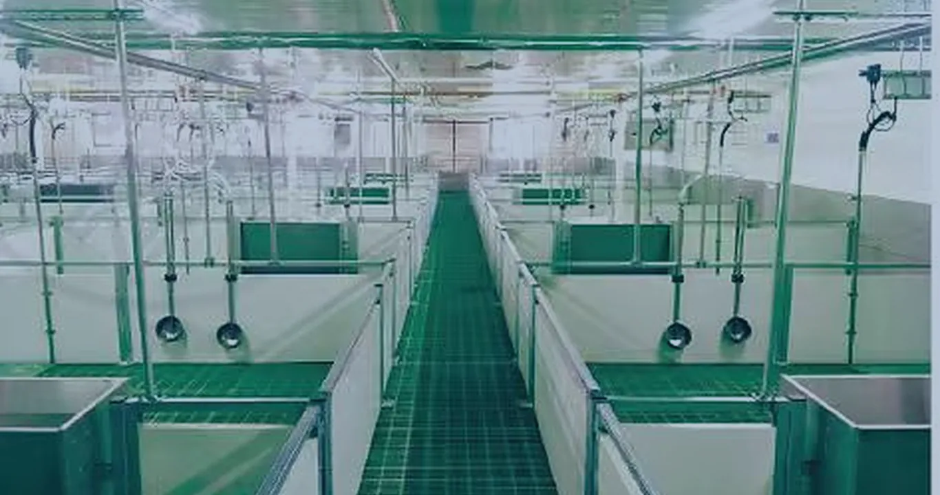 Equip the modern pig house — from one factory.